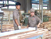 Công ty cổ phần Sahabak chuyển đổi Dự án MDF sang sản xuất gỗ dán